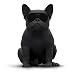 Produktbild Jarre AeroBull HD1 Hi-Fi-Lautsprecher 200 Watt - Matt Schwarz