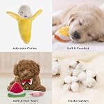 Nocciola Jouets pour chiens, Jouets de chien en peluche, Jouet de chien farcis avec squeakers,12 pcs Puppy Toys avec un sac de transport pour petits chiens de taille moyenne