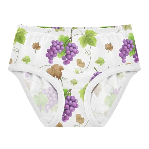 Watercolor Purple Grapes Leaves Panties Little Girl Toddler Underwear Floral Cotton Personalized Briefs Kids Undies 2t