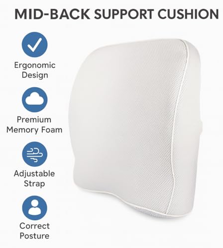 Image of Grin Health Back Support for Office Chair & Car, Memory Foam Orthopedic Back Rest Cushion for Back Pain Relief, Ideal Cushion for Spine Alignment and Posture Correction, Grey