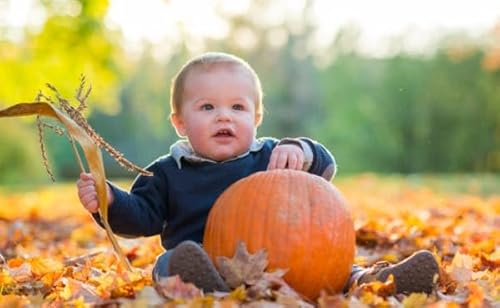 Baby's First Holiday: Thanksgiving Edition