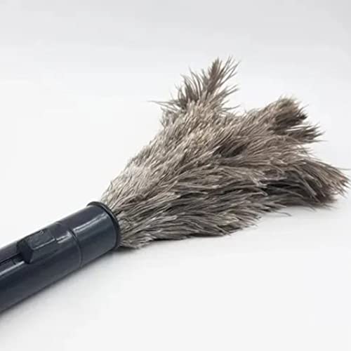 Ostrich Feather Duster, Washable Dusters Portable Dusters For Cleaning Supplies Washable, Keyboard, Home, Car, Office #TOP6