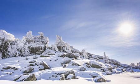 adrium WTD - Lienzo decorativo (70 x 40 cm), diseño de árboles rocosos en la nieve del norte