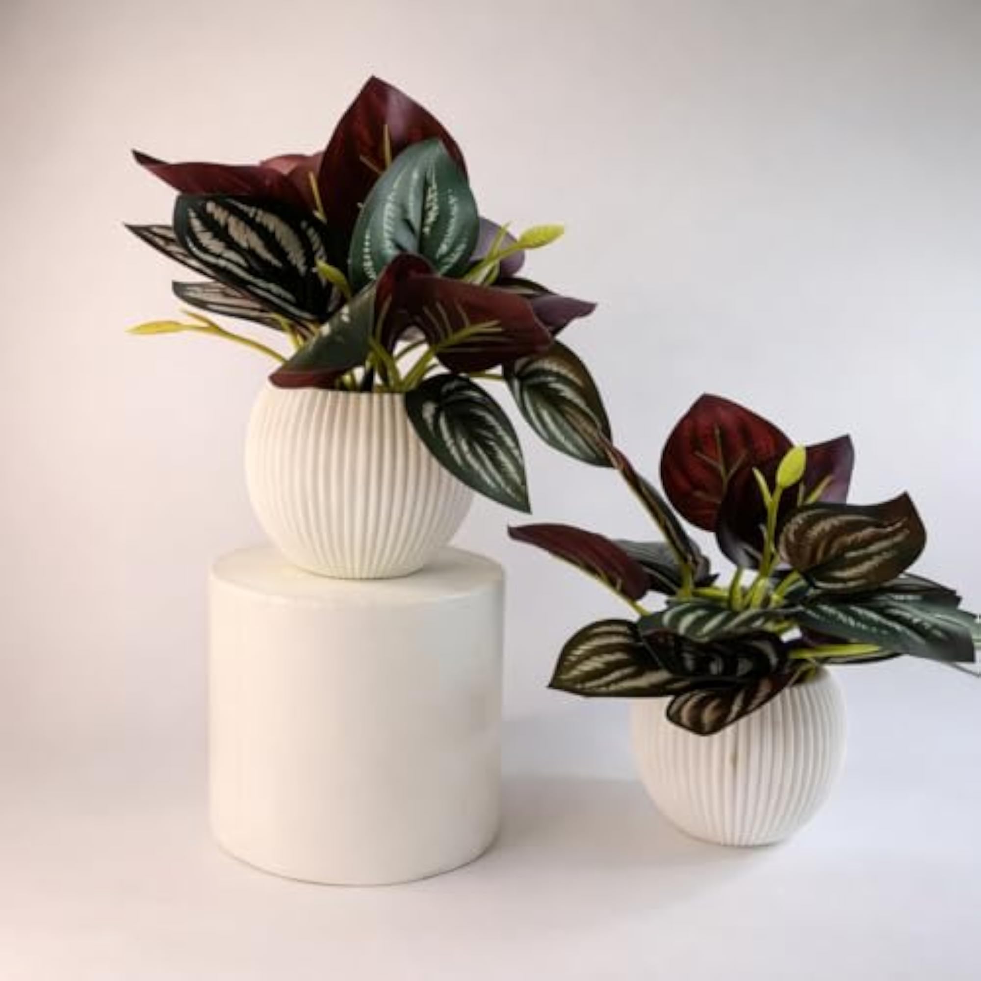Artificial Calathea Leaf Plant with White Pot, Premium Decor