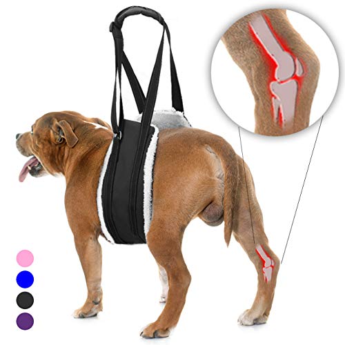 Bolux Portable Dog Sling Rear Legs - Dog Lift Harness for Back Legs