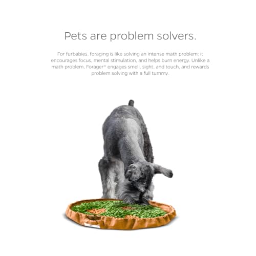 Pet Parents Forager Slow Feeder Bowls with SoftSnout & Non-Slip Backing, Dog Puzzle Toys & Snuffle Mat (Meadow Natural) - Thumbnail 6