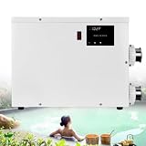 Riscaldatore elettrico per piscina 5,5/9/11/15 kW 220V con termostato 5.5kw