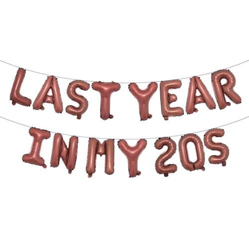 Last Year In My 20s Birthday Decoration Last Year In My 20s Banner 29 Birthday Decoration Last Year In My 20s Birthday 29 Birthday Balloons (LAST YEAR IN MY 20S Chocolate)