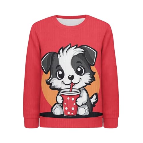 Stylish Sweatshirt for Girls Boys Long Sleeve Soft Pullover Crew Neck Tops 2XS-XL