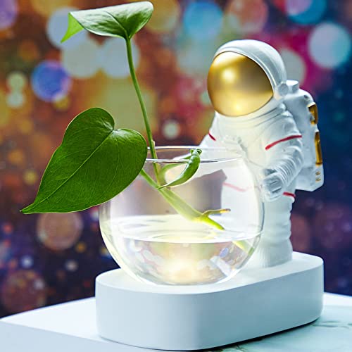 Astronaut Planter Spaceman Glass Vase Resin Hydroponics Funny Plant Pots Modern Succulent Pots Led Flower Pot Pen Holder For Indoor Home Bedroom Living Room Office Table Decor #TOP4