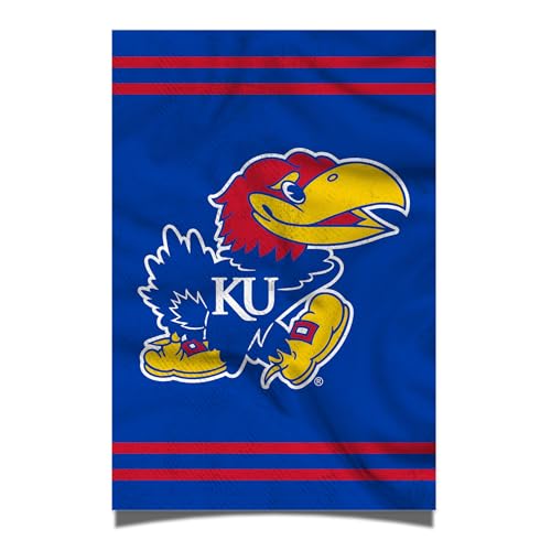 Desert Cactus The University of Kansas Poster Jayhawks KU 11 x 17 Inch Room Office Décor Decoration Official Fan Gear (11x17,Version 3)