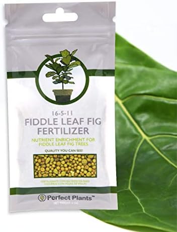 Fiddle Leaf Fig Slow-Release Fertilizer by Perfect Plants - Resealable 5oz. Bag - Consistent Nutrient Enrichment - for Indoor and Outdoor Use on All Ficus Varieties