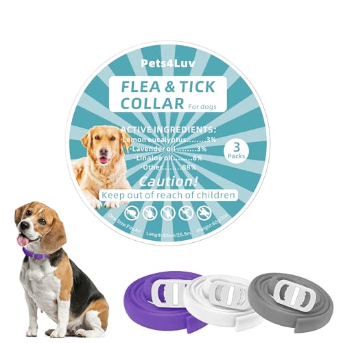 Collar antipulgas para perros, 3 colores, duración hasta 2 años, 65 cm, ingredientes 100% aceites esenciales