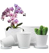 Plant Pots, 7.7/6.7/5.3/4.5/3.9 inch 5 Sets Flower Pot Potato Planter Bonsai Planter Round Flower...