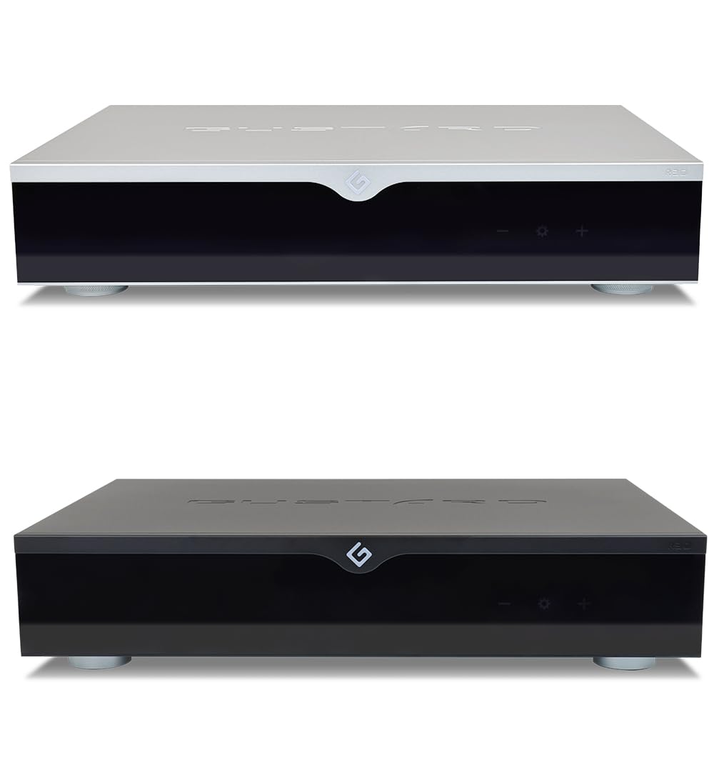 Fanmusic Gustard R30 Fully Discrete R2R Network Streaming DAC XMOS DSD512 PCM768K Preamplifier (Silver)