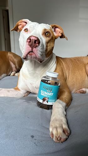 Cachorro Forte Gummy Suplemento Pelo e Derme Coceira Imunidade Mastigável