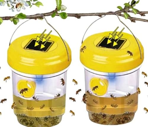 Piege a guepes exterieur, Piege Frelon Asiatique, Attrape-Guêpes Amovible et Réutilisable, Piège à Guêpes Vivant à Double Canal, pour Exterieur Jardin Balcon, sans Attractif Chimique，2pcs