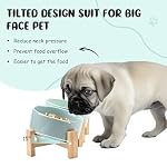 SPUNKYJUNKY 15° Slanted Ceramic Dog and Cat Bowl with Wooden Stand, Tilted Bulldog Food and Water Bowl No Slip Non-Spill for Cats Medium Dogs Big Face Pets 13.5 OZ (1.7 Cups, Morandi Green × 2) - Image 2