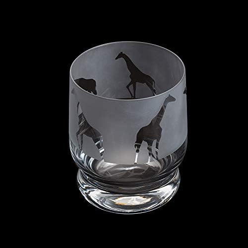 Dartington Crystal Aspect Tumbler Cycling, 1 Count (Pack of 1)