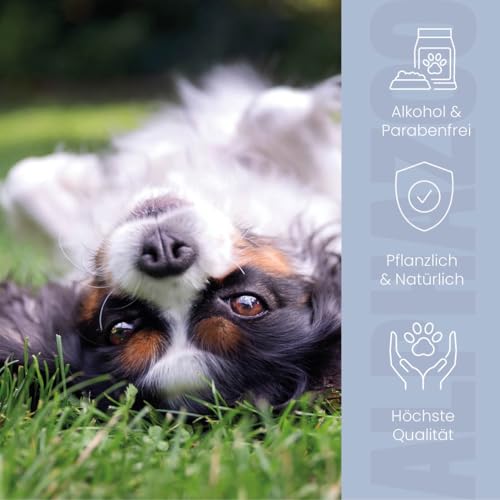 alphazoo Anti Ohrenmilben Öl für Hunde – 100 ml | Sofort wirkende Ohrentropfen gegen Milben & Ohrräude | Sanfte, natürliche Ohrenpflege – beruhigt Juckreiz & schützt empfindliche Hundeohren