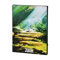 Elbenwald Zelda Masterschwert Wandbild mit Licht batteriebetrieben 30 x 40 x 3,8 cm