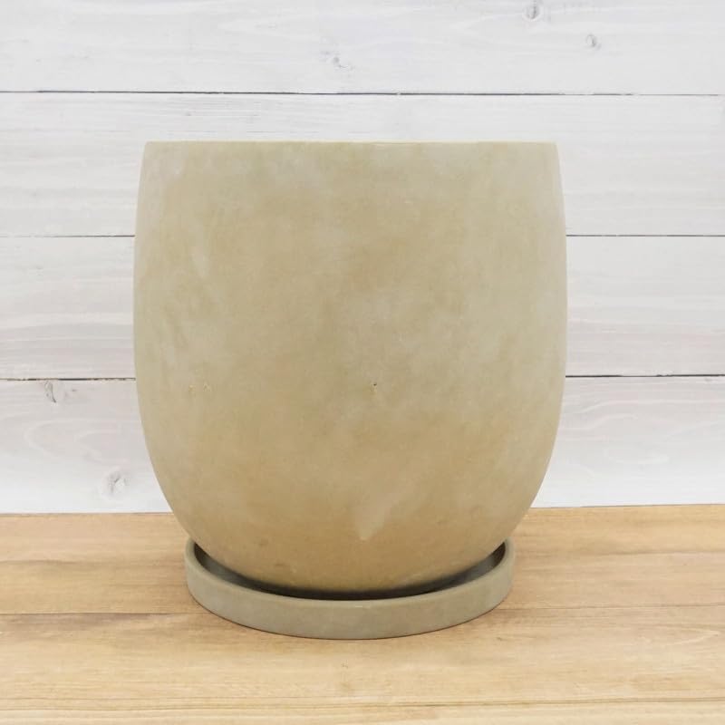 Amazon.co.jp: 植木鉢 おしゃれ 陶器鉢 アイルエッグS 最大外径22.5cm