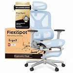 FLEXISPOT – FLEXISPOT Ergonomischer Bürostuhl ErgoX Blau