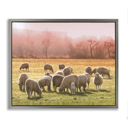 Sheep Herd Grazing Sunset Grassland, 16 x 20 Inch Canvas in Floater Frame