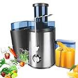 Juicer, Juicer Machines, Whole Fruit and Vegetable Juice Extractor, Centrifugal Juicer, Juice Maker Machines, Stainless Steel Portable Juicer with 3 Speed Control, 500ML Capacity, Silver