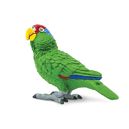 Safari Ltd Wings of the World Green-Cheeked Amazon Parr