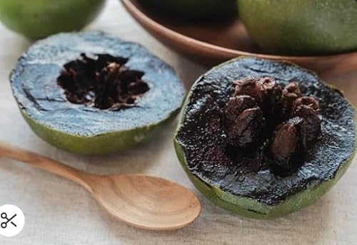 Potted Black Sapote Fruit Tree, 3-5ft Tall, in 5 Gallon Container (5 Gallon)