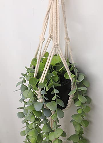 Asano Season Fake Plants Artificial Eucalyptus With Hanging Plant Hanger 2.6 Ft Faux Greenery Vine Potted Plants In Black Pot And Cotton Rope For Boho Home Green House Garden Indoor Bedroom Décor #TOP1