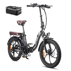 Fafrees F20 PRO E-bike, vouwfiets, elektrische fiets, 20 inch, opvouwbaar, 250 W motor, 36 V, 18 Ah accu, 20 x 3,0 inch mountainbike, stadsfiets, maximaal koppel 40 Nm (zwart)
