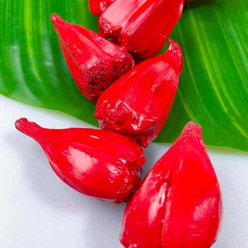 UlaFala Samoa Necklace Red Necklace Men Women Hawaii Natural Chain Decor Fala necklace4