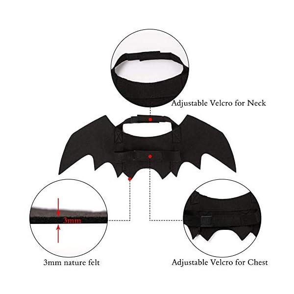 SEALEN Halloween Pet Cat Bat Wings, Bat Costume Pet Apparel for Cats and Small Dogs, Cosplay Bat Wing Costume Decoration for Halloween Party - Image 5