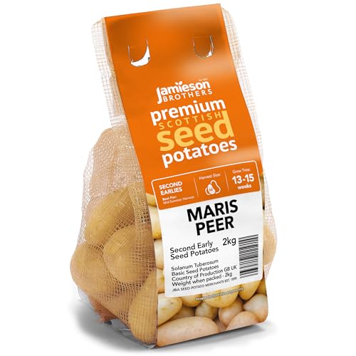 2kg Maris Peer Seed Potatoes (Approx. 20-25 Tubers) Second Early Grow Your Own Baking Boiling & Salads Scottish-Grown & Ready to Plant at Home in Gardens & Allotments by Jamieson Brothers