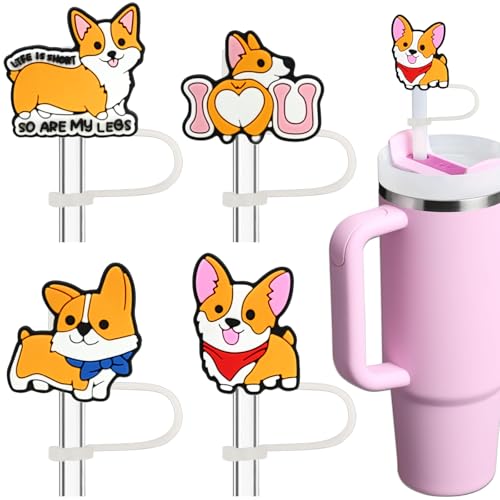 Amreich Straw Toppers