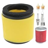 Autu Parts 0470-421 Dual Stage Air Filter Compatible with Arctic Cat 300 250 ATV Replaces 0470-355