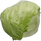 iceberg citronné Découvrez la salade laitue Iceberg, la star croquante de vos assiettes ! Fraîche, légère et pleine de fraîcheur, elle apporte une touche de douceur et de vitalité à vos repas. Parfaite pour des salades colorées ou un sandwich qui ne manque pas de pep’s. Un vrai plaisir frais et simple, à savourer sans modération !