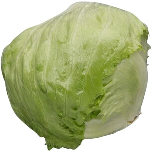 Salade laitue Iceberg,1 pièce