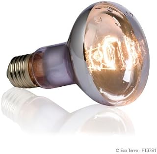 Exo Terra Swamp Glo Basking Spot Lamp, 75-Watt