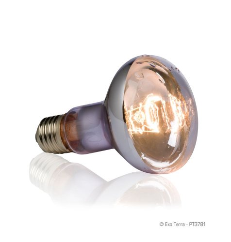 Exo Terra Swamp Glo Basking Spot Lamp, 75-Watt