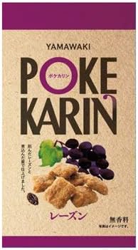 Amazon 山脇製菓 ポケカリン レーズン 50g 16コ入り 山脇製菓 かりんとう 通販 Amazon 山脇製菓 ポケカリン レーズン 50g 16コ入り 山脇製菓 かりんとう 通販