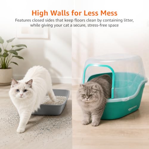 Image of Amazon Basics Semi Enclosed Cat Litter Box | Large Litter Tray | Easy Clean Cat Washroom for Indoor Cats | Green & Transparent | 42 X 49 X 63 cm | Suitable for Kittens & Adult Cats
