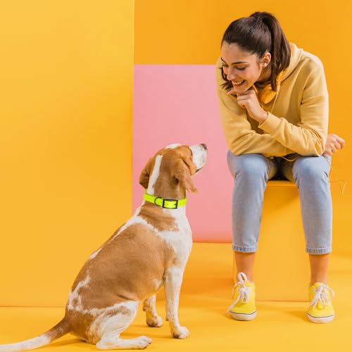 Image of Dogline Biothane Waterproof Dog Collar Strong Coated Nylon Webbing with Black Hardware Odor- Proof for Easy Care Easy to Clean High Performance Fits Small Medium or Large Dogs, Safety Yellow