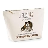 race de chien cavalier king charles a vendre Comment prendre soin de cette trousse ? Nous recommandons un lavage à la main pour conserver l'impression de qualité de cette trousse (même si elle peut passer à la machine). Mais soyons honnêtes, cela donne juste une excuse supplémentaire pour utiliser cette trousse encore et encore lors de vos voyages ou tout type de déplacement du quotidien !