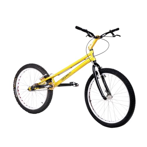 WGM]BMX Zp ] 24C`BMXgCAoCN/S҂я㋉C_[̃gCAABECAUSEt[уtH[NAu[Lt (CG[)