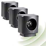 GRATIS Foto Lichterkette inclusive - ideal als Geschenk oder Fotos aus dem Urlaub