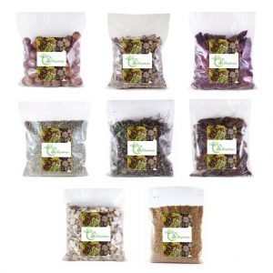 Divya Kaya Hair Care Combo whole Raw