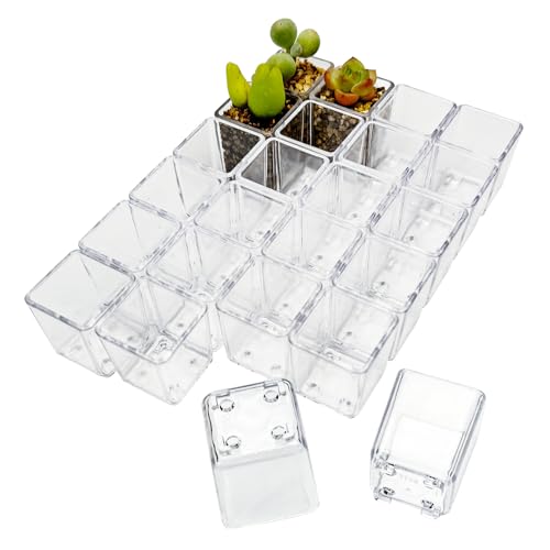 QCSMBFL 24pcs Super Tiny Mini Clear Plastic Planter, 1.1" Small